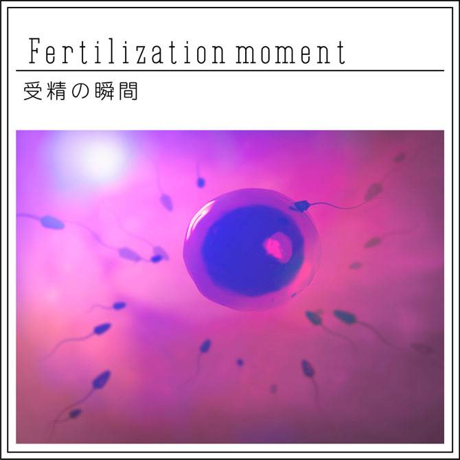 reproduction sperm 1